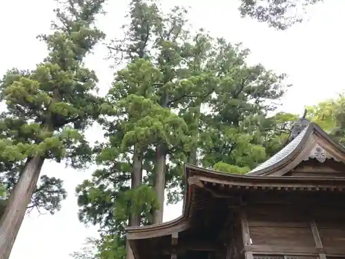 日枝神社の建物その他