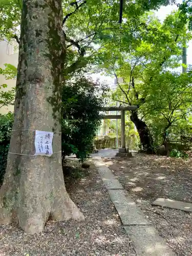 目黒富士浅間神社(東京都)