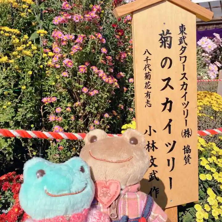 亀戸天神社(東京都)