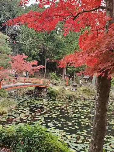 大原野神社の庭園