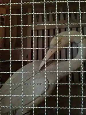 鶴林寺(徳島県)