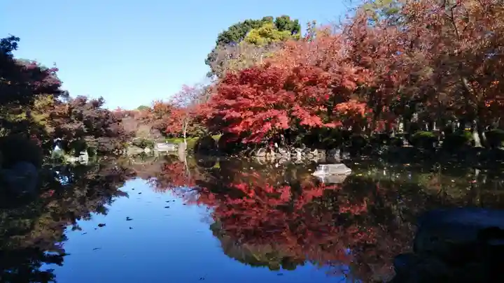 東寺(教王護国寺)の庭園