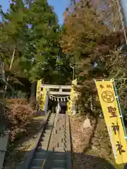 聖神社(埼玉県)