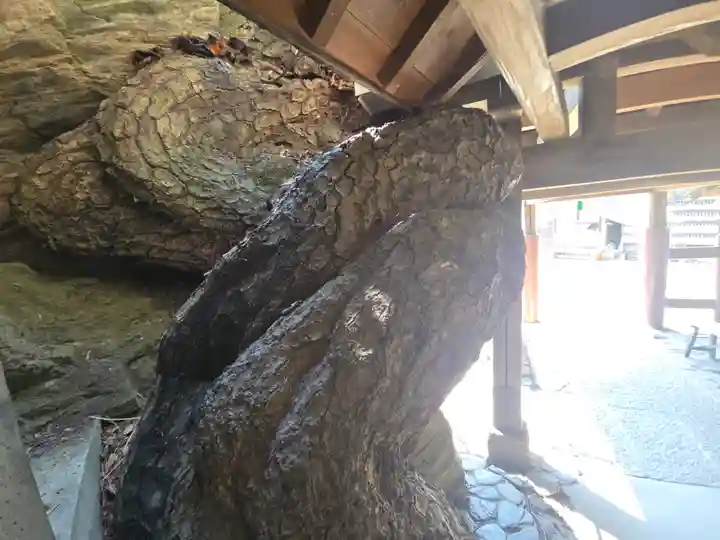 鹽竈神社(和歌山県)