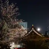 三輪神社の自然