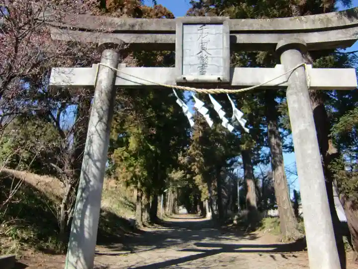 千代ケ岡八幡宮の鳥居