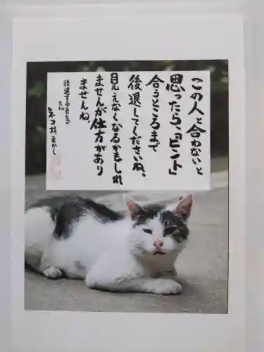 専念寺(大阪府)