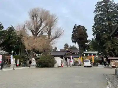 亀ケ池八幡宮のその他建物