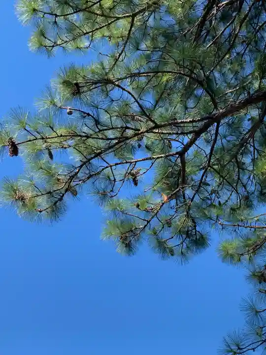 慈恩寺(埼玉県)