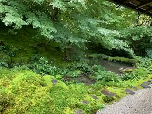 光明寺瑠璃光院の庭園