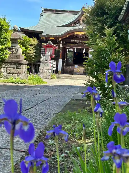 鷺宮八幡神社(東京都)