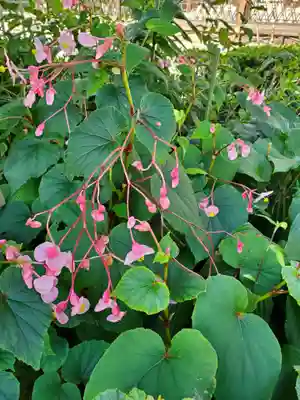 沙沙貴神社(滋賀県)