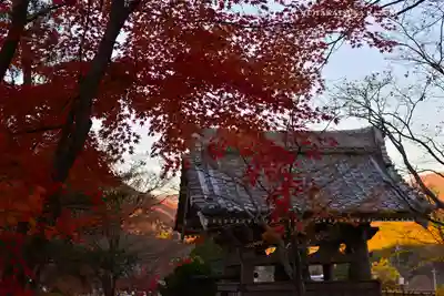 宝徳寺(群馬県)