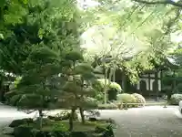 妙本寺の庭園