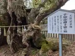 大山祇神社(愛媛県)