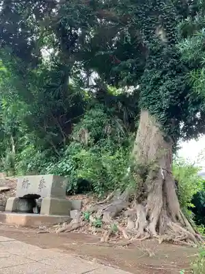 神明神社(千葉県)