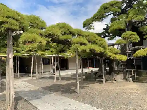 題経寺（柴又帝釈天）(東京都)