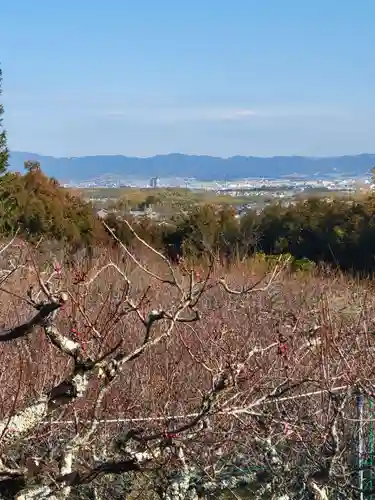 正法寺(京都府)