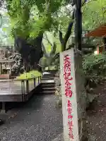 來宮神社(静岡県)