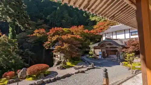 古知谷阿弥陀寺(京都府)