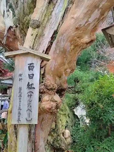 正寿院(京都府)