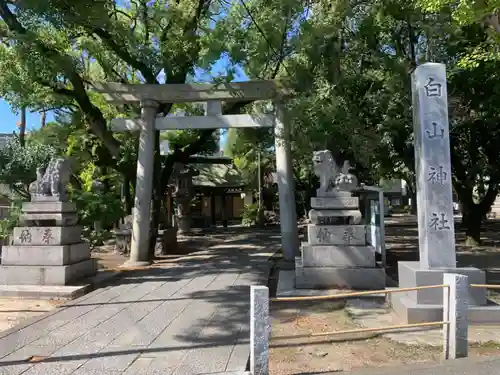 白山神社の鳥居