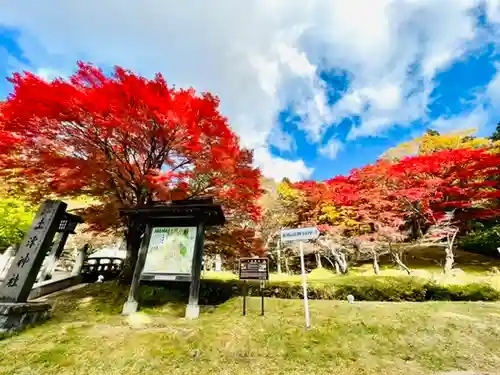 土津神社｜こどもと出世の神さまの自然
