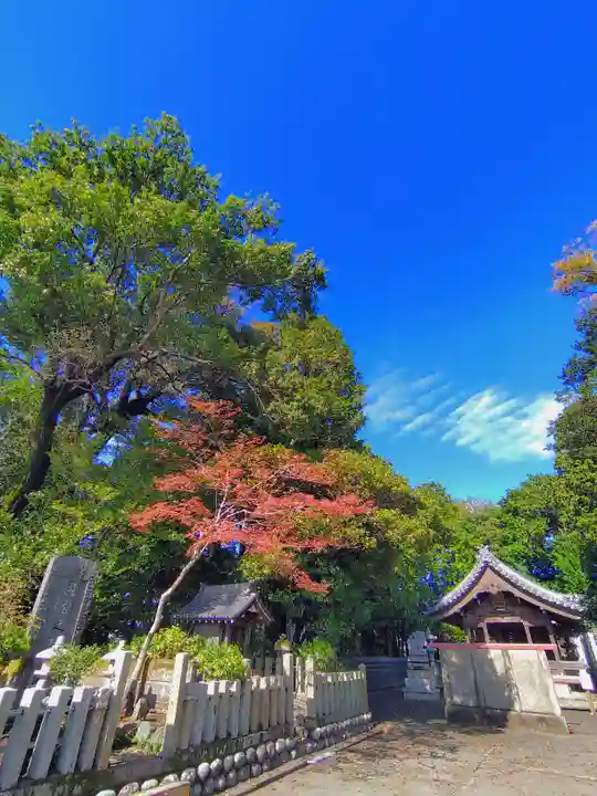天神社(下小針)の自然