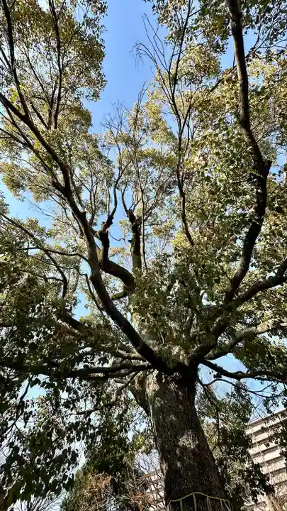 呉服神社(大阪府)