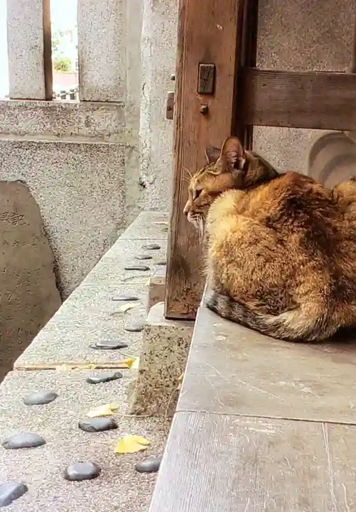 小野照崎神社(東京都)