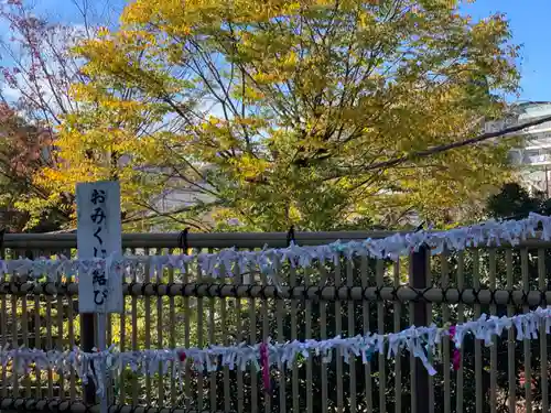 師岡熊野神社のおみくじ