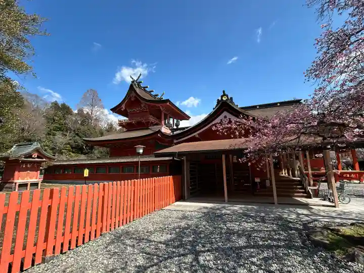 富士山本宮浅間大社(静岡県)