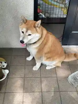 笠䅣稲荷神社(神奈川県)