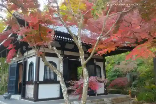 長谷寺(神奈川県)