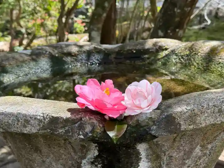 法然院(京都府)