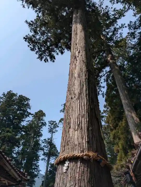 伊和神社の{uncategorized: "未分類", other: "その他", undefined: "問題あり", building: "その他建物", grave: "お墓", sacred_gate: "鳥居", guardian: "狛犬", statue: "像", buddha: "仏像", history: "歴史", nature: "自然", garden: "庭園", animal: "動物", pagoda: "塔", temizu: "手水舎", mountain_gate: "山門・神門", sanctuary: "本殿・本堂", subordinate: "末社・摂社", art: "芸術", scenery: "景色", jizo: "地蔵", ema: "絵馬", goshuin: "御朱印", omikuji: "おみくじ", items: "授与品その他", amulet: "お守り", goshuincho: "御朱印帳", eats: "食事", festival: "お祭り", votive_dance: "神楽", shichigosan: "七五三参", wedding: "結婚式", experience: "体験その他", initially: "初詣", around: "周辺", anti_infection: "感染症対策"}