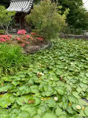 神積寺(兵庫県)