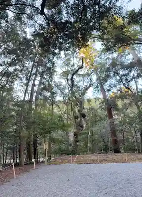 伊勢神宮内宮（皇大神宮）(三重県)