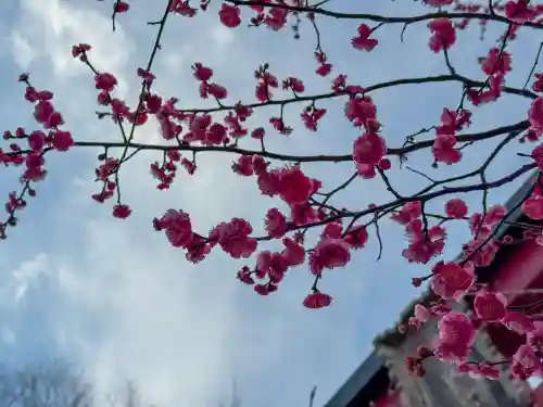 亀戸天神社の{uncategorized: "未分類", other: "その他", undefined: "問題あり", building: "その他建物", grave: "お墓", sacred_gate: "鳥居", guardian: "狛犬", statue: "像", buddha: "仏像", history: "歴史", nature: "自然", garden: "庭園", animal: "動物", pagoda: "塔", temizu: "手水舎", mountain_gate: "山門・神門", sanctuary: "本殿・本堂", subordinate: "末社・摂社", art: "芸術", scenery: "景色", jizo: "地蔵", ema: "絵馬", goshuin: "御朱印", omikuji: "おみくじ", items: "授与品その他", amulet: "お守り", goshuincho: "御朱印帳", eats: "食事", festival: "お祭り", votive_dance: "神楽", shichigosan: "七五三参", wedding: "結婚式", experience: "体験その他", initially: "初詣", around: "周辺", anti_infection: "感染症対策"}