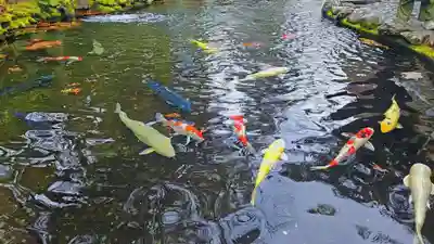 伊勢神宮内宮（皇大神宮）(三重県)