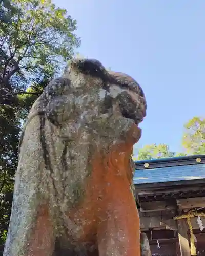 諏訪八幡神社の狛犬