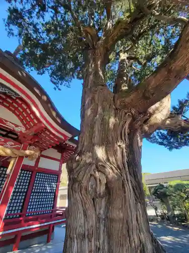 八幡神社(愛媛県)
