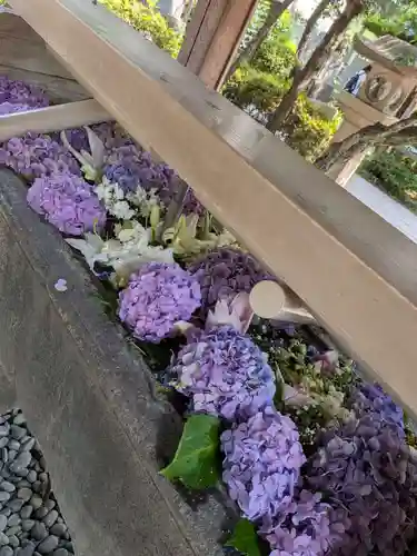 鳩森八幡神社(東京都)