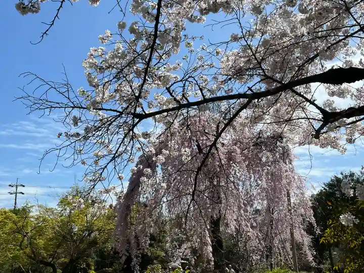 法金剛院(京都府)