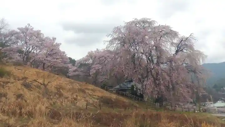 勝間薬師堂(長野県)