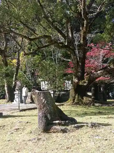 熊野本宮大社(和歌山県)
