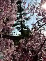 廣徳寺(長野県)