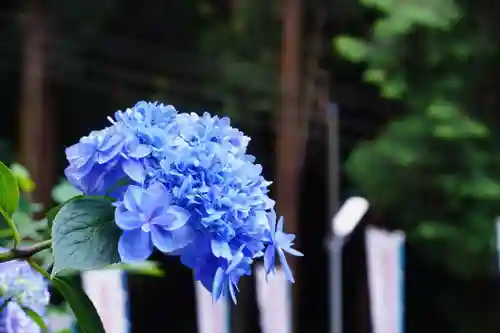 杉山谷不動尊(京都府)