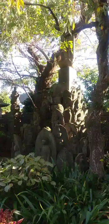 薬師寺 南蔵院 の自然