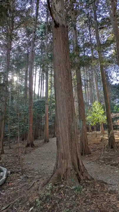 御蔭神社(京都府)